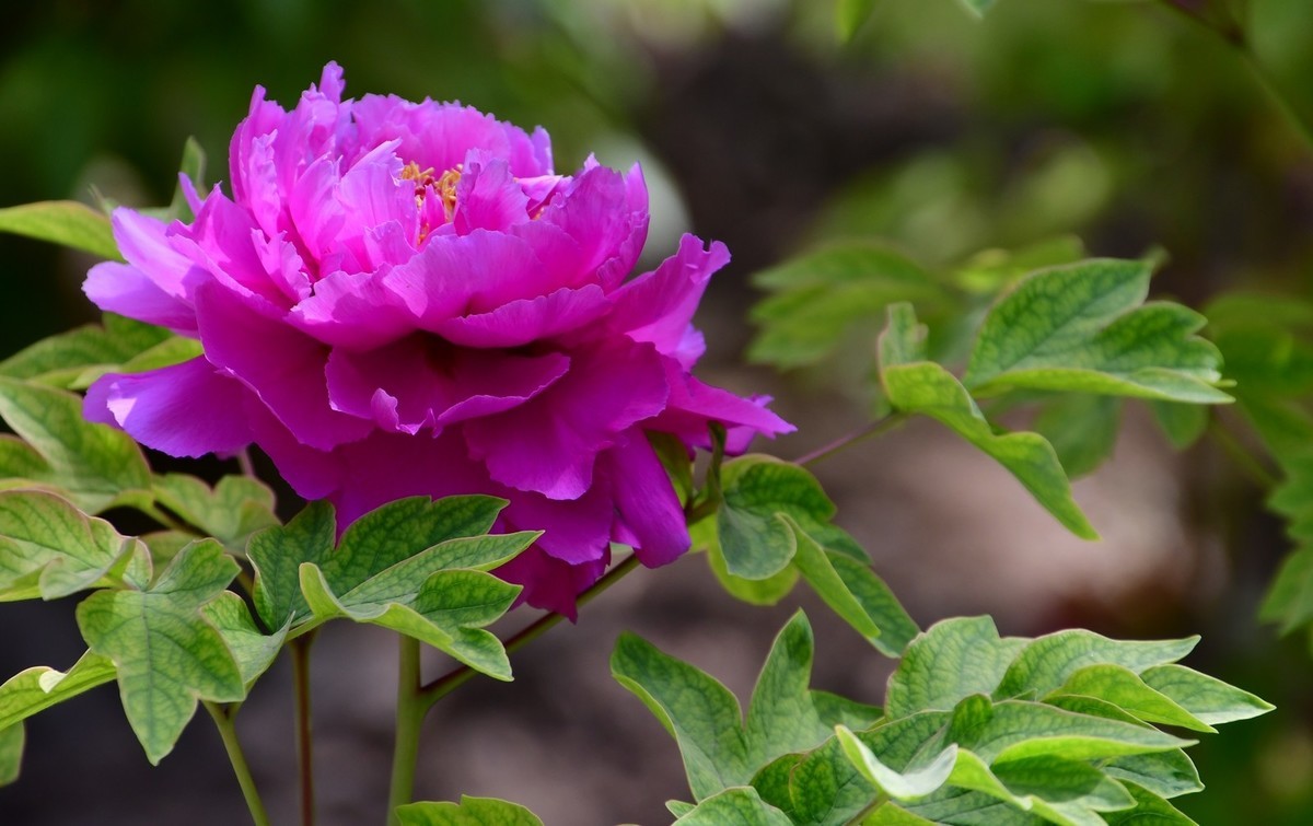 我只是把出去看到的随手记录下来（164）