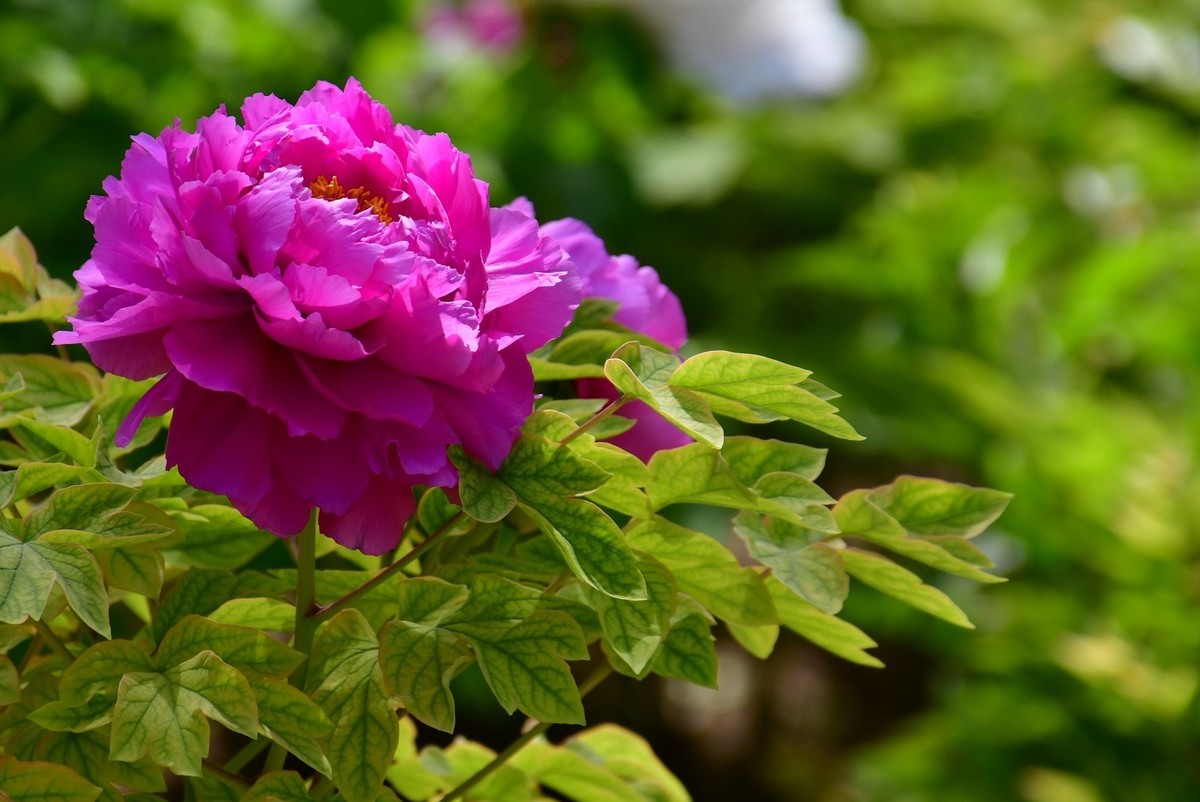 我只是把出去看到的随手记录下来（164）