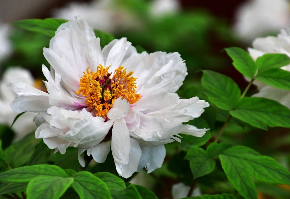 我只是把出去看到的随手记录下来（164）