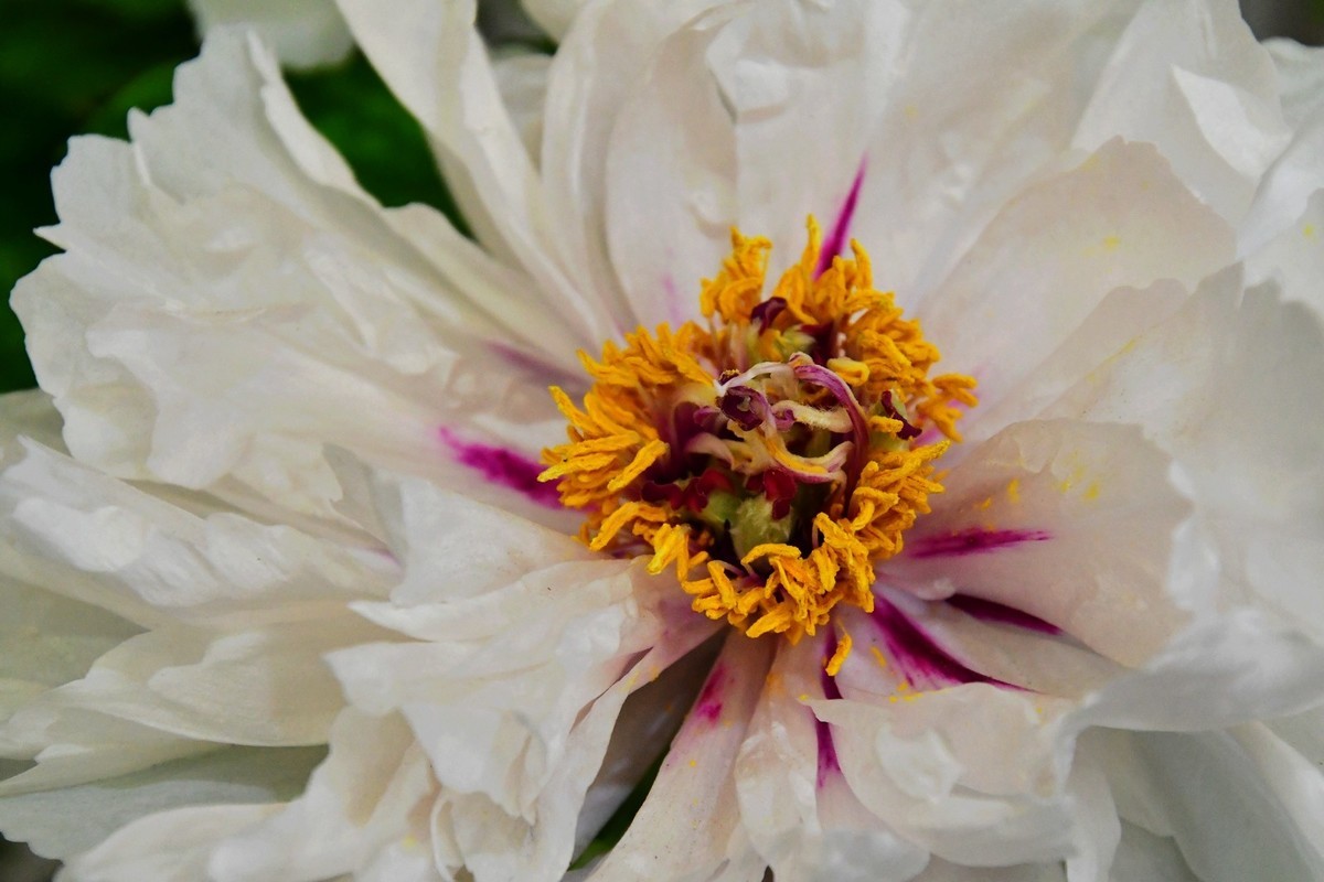 我只是把出去看到的随手记录下来（164）