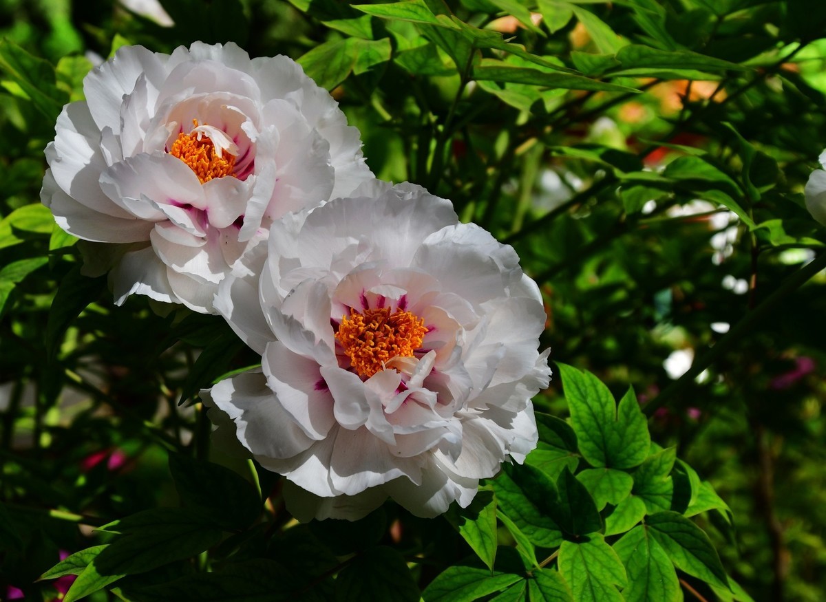 我只是把出去看到的随手记录下来（164）