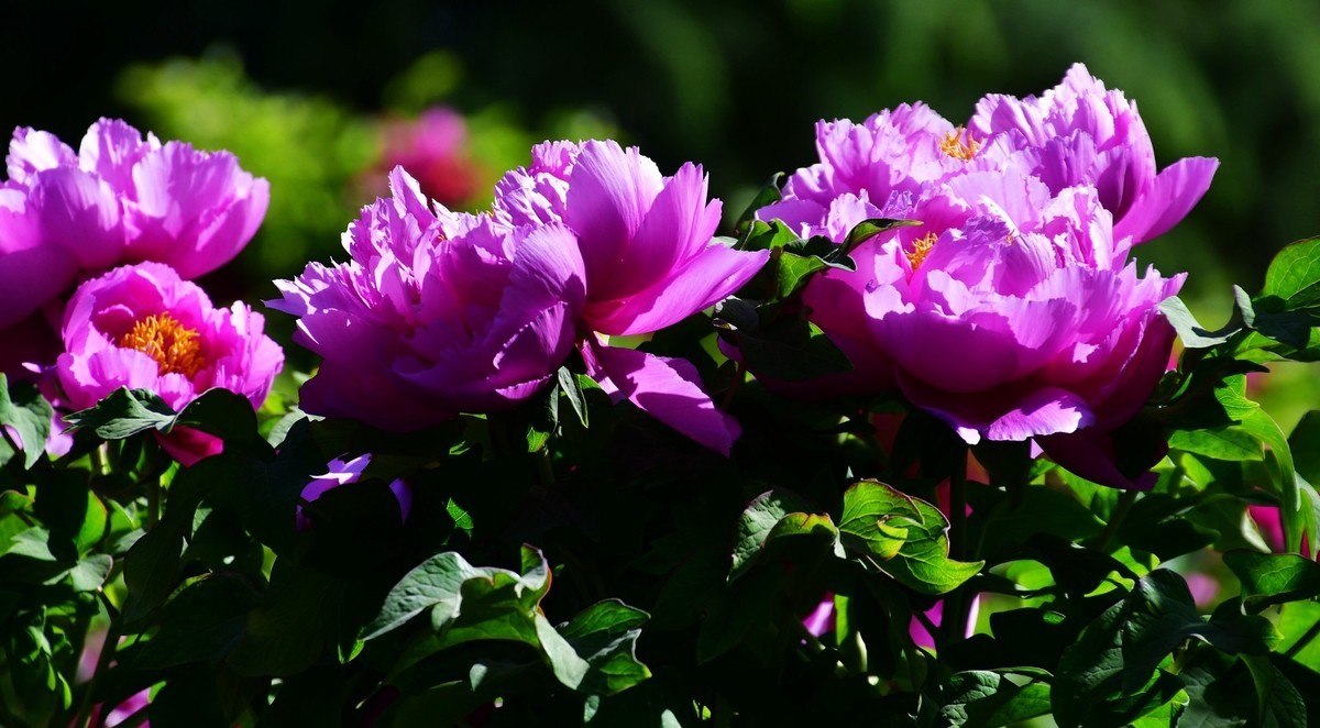 我只是把出去看到的随手记录下来（164）