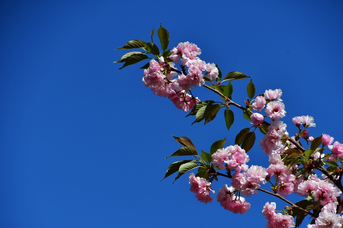 我只是把出去看到的随手记录下来（164）