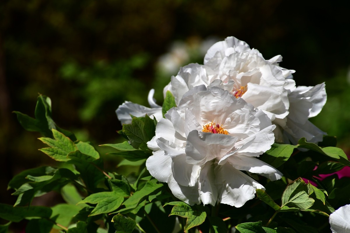 我只是把出去看到的随手记录下来（164）