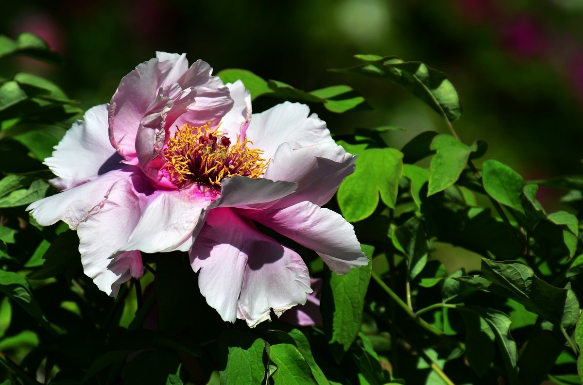 我只是把出去看到的随手记录下来（164）