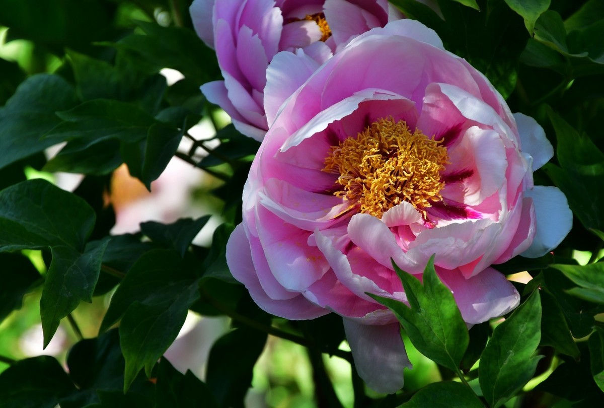 我只是把出去看到的随手记录下来（164）