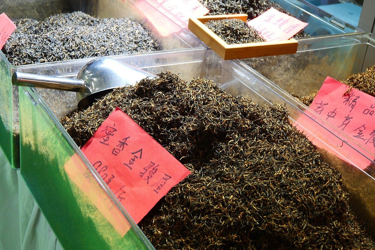 2025 茶博会 (二)