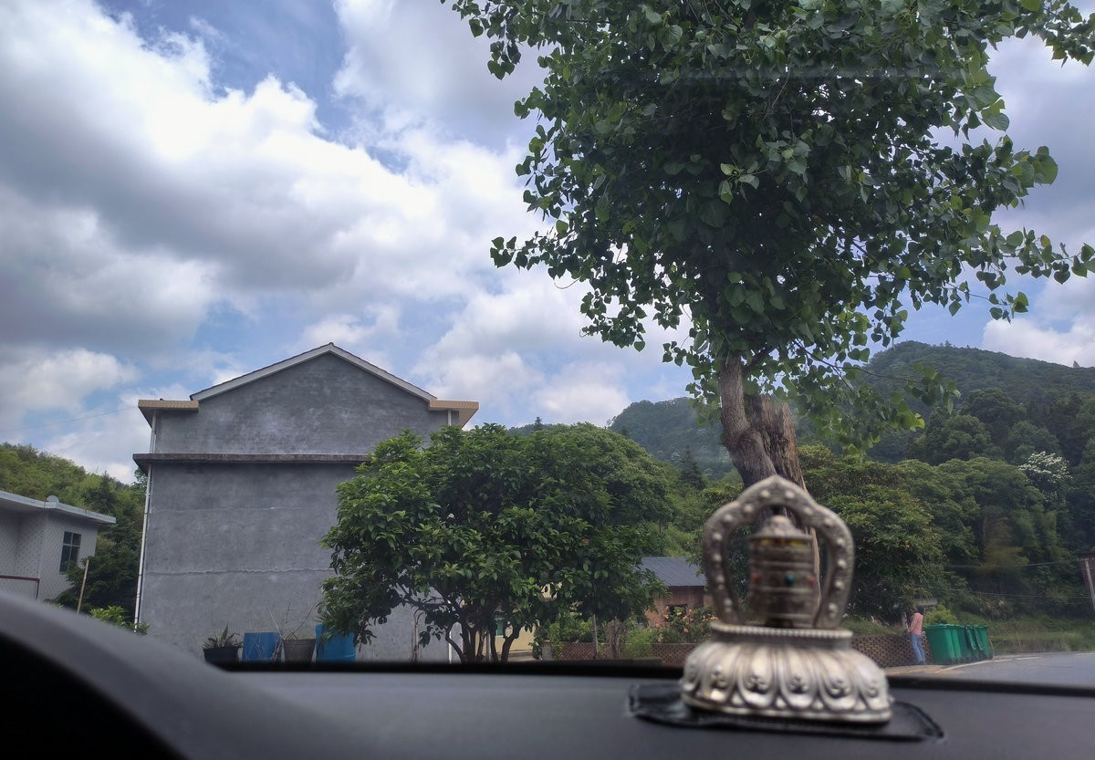 2025春夏之季 湘赣边（20）湘东区黄岗森林公园