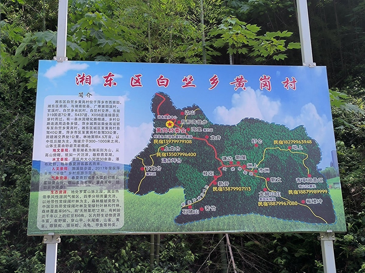 2025春夏之季 湘赣边（20）湘东区黄岗森林公园