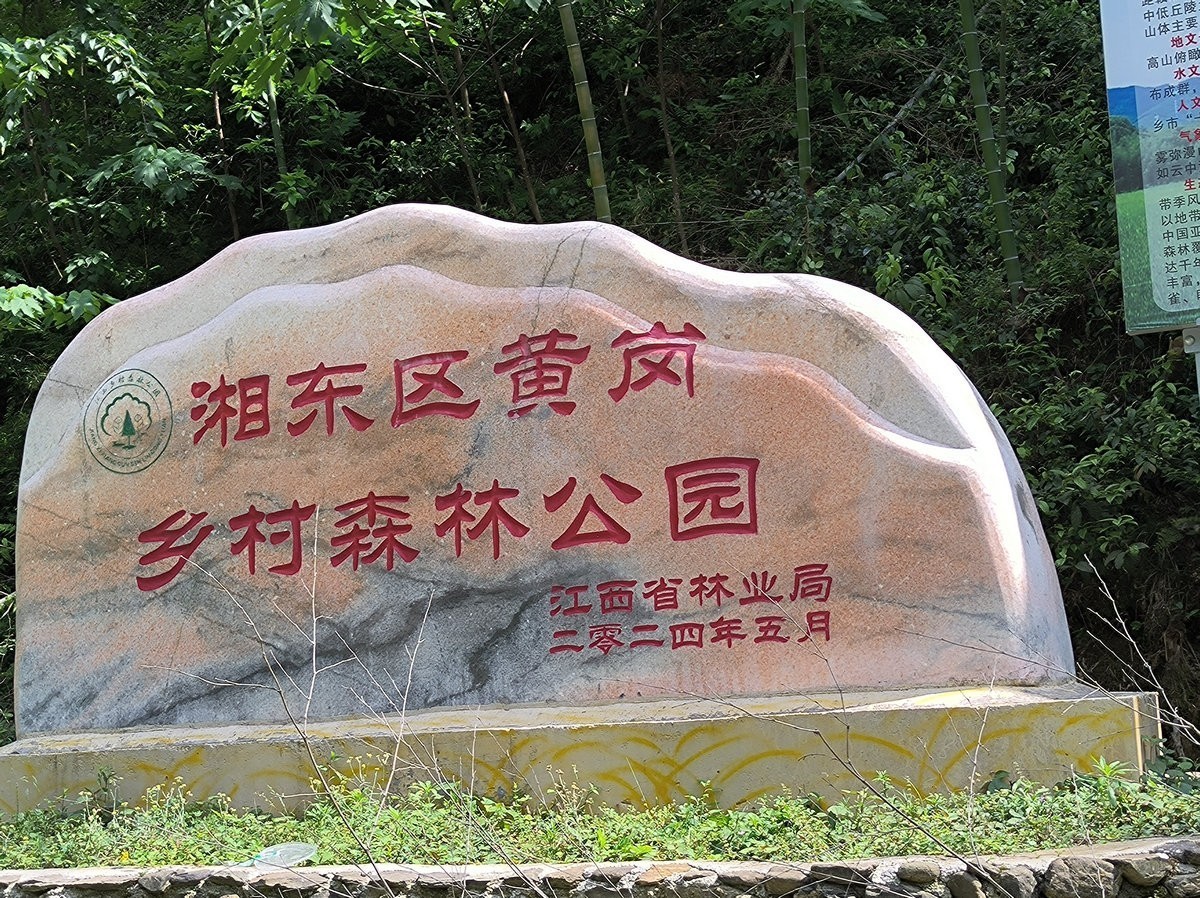 2025春夏之季 湘赣边（20）湘东区黄岗森林公园