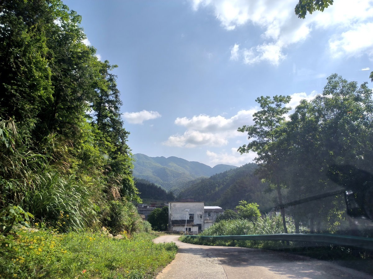 2025春夏之季 湘赣边（20）湘东区黄岗森林公园