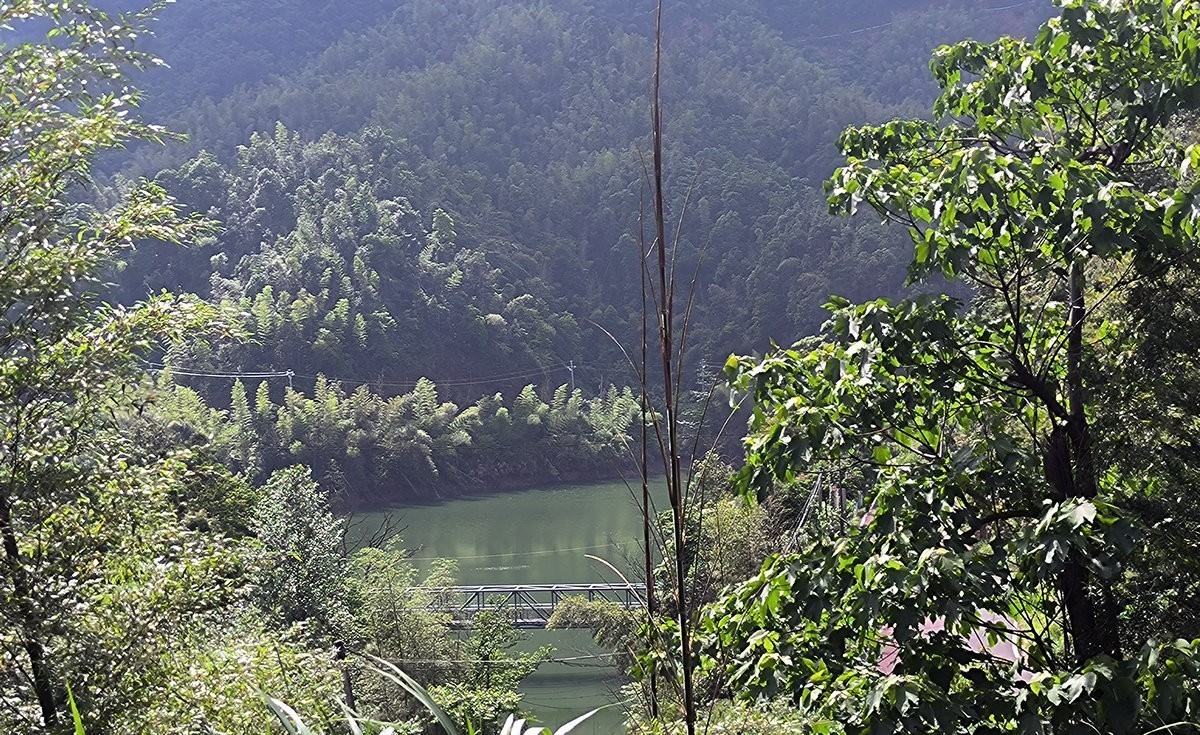 2025春夏之季 湘赣边（20）湘东区黄岗森林公园