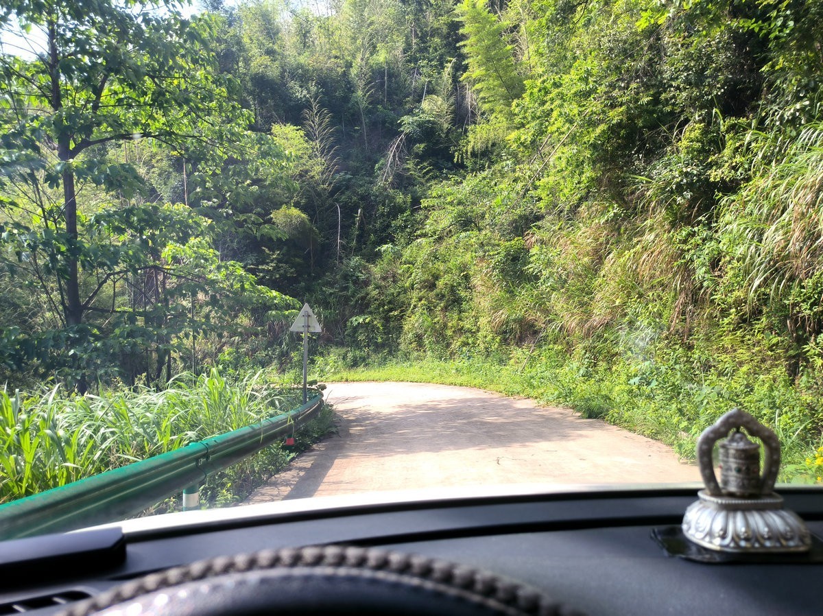 2025春夏之季 湘赣边（20）湘东区黄岗森林公园