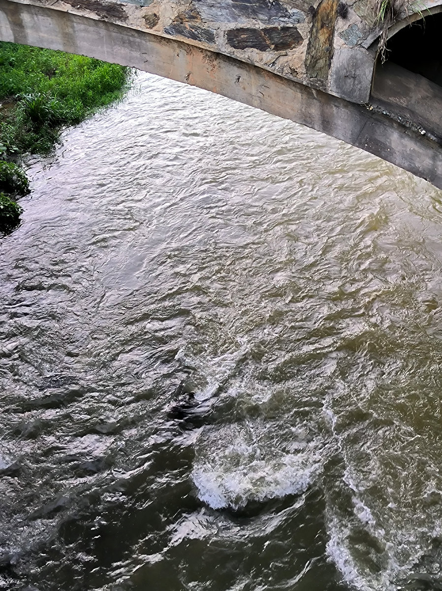 2025春夏之季 湘赣边（22）幽静的大沙江