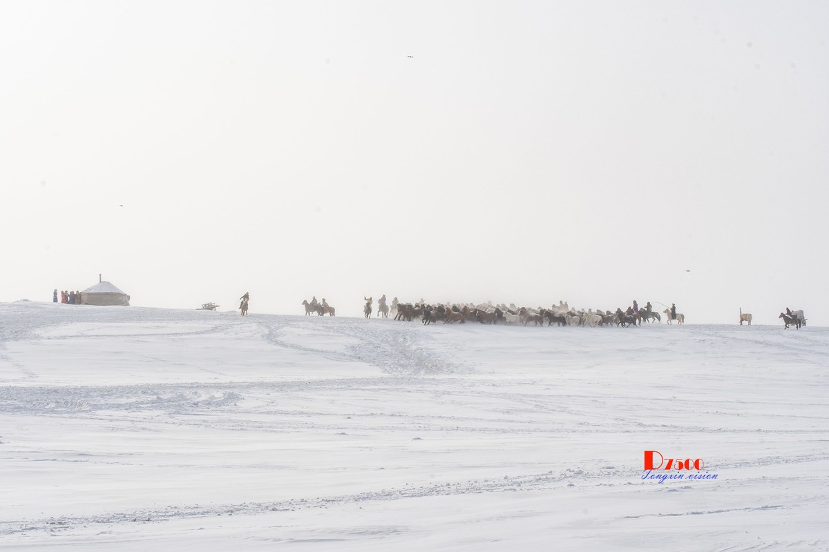 策马奔腾（79）