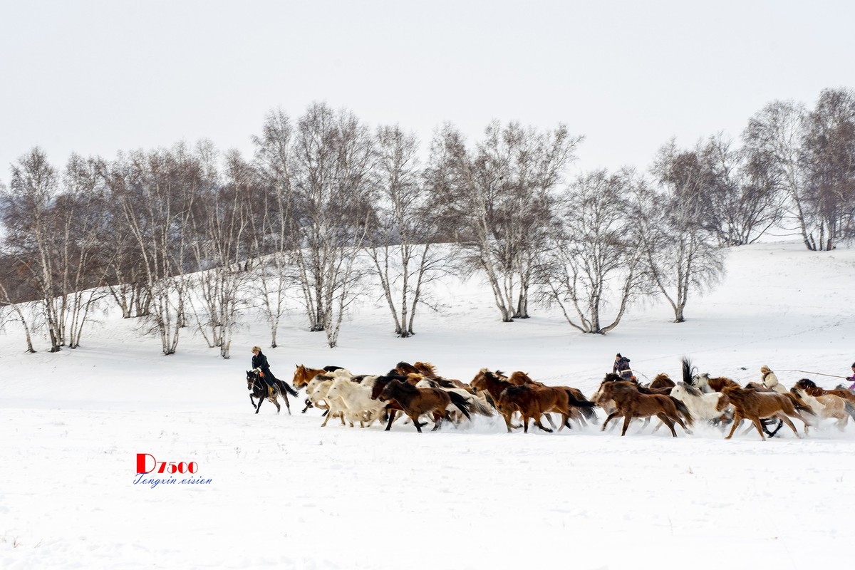 策马奔腾（79）