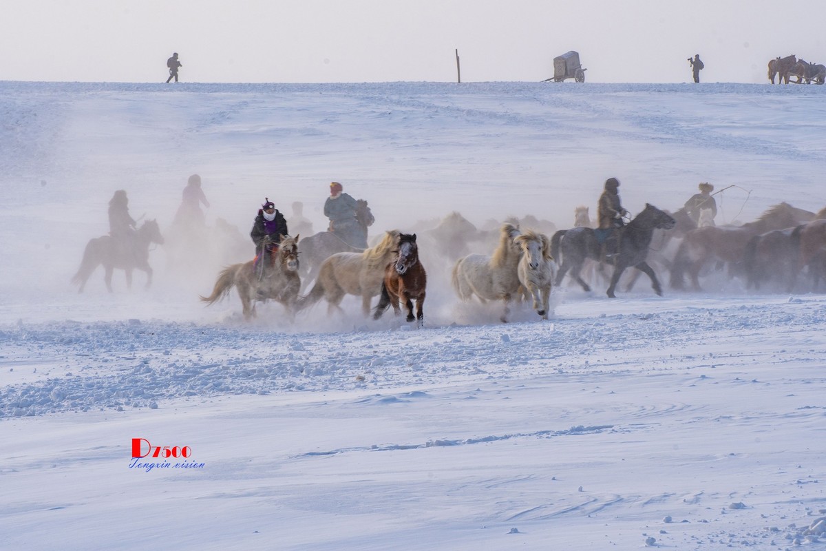 策马奔腾（79）