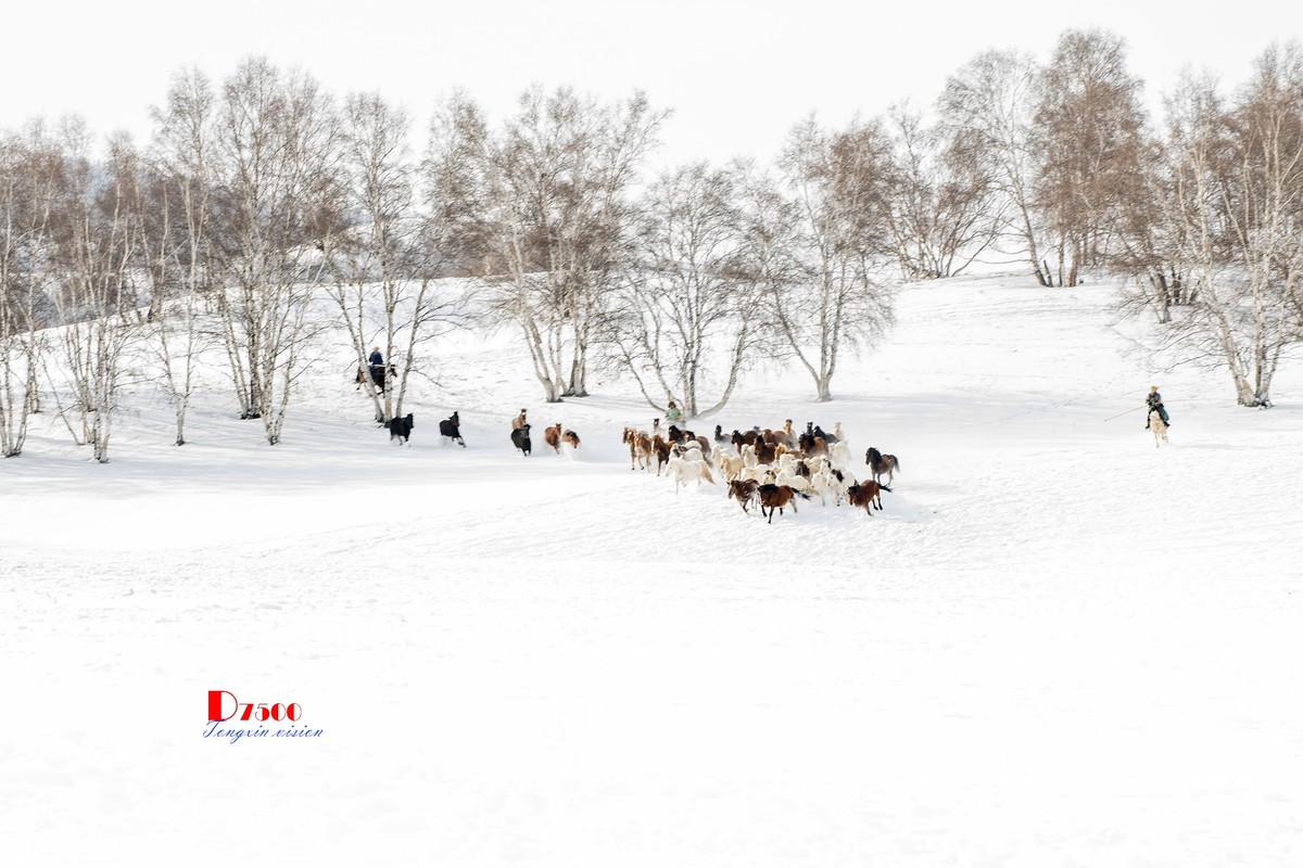 策马奔腾（79）