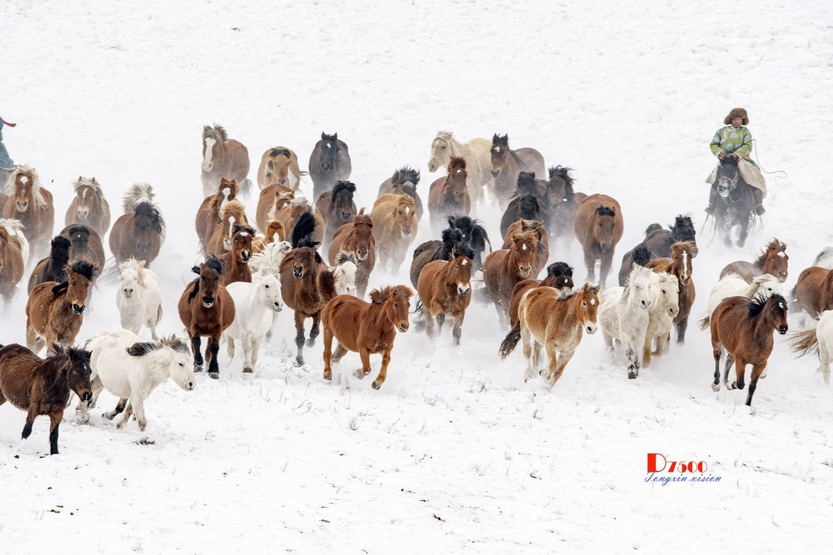 策马奔腾（79）