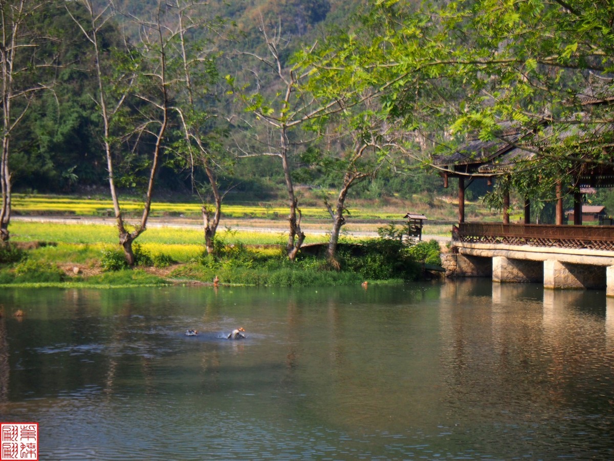 2023.12.22坝美随拍（20）