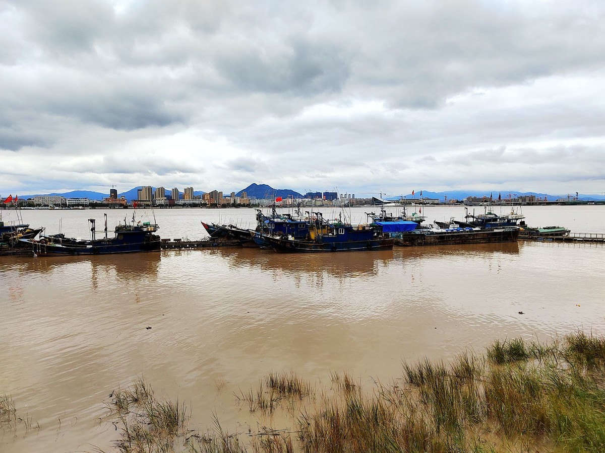 瑞安飞云江风光3