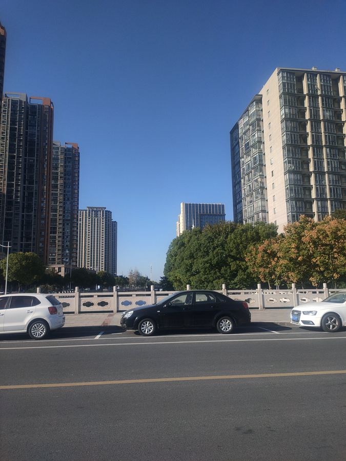 花卉系列【4293】