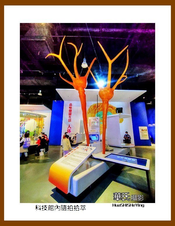 2023美色辽宁——科技馆内随拍拾萃（沈阳辽宁科技馆）