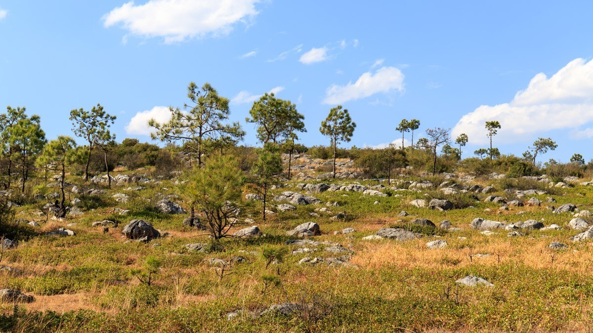 游凉山州盐源县公母山