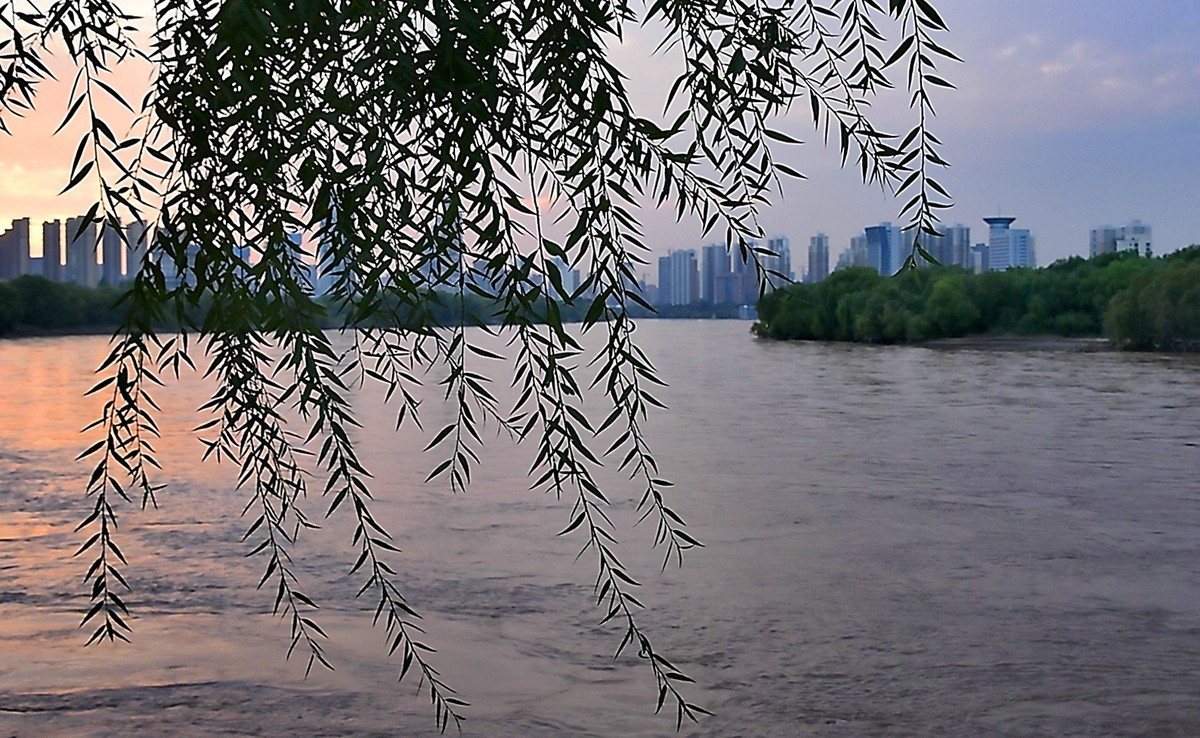 傍晚夕阳-中关村在线摄影论坛