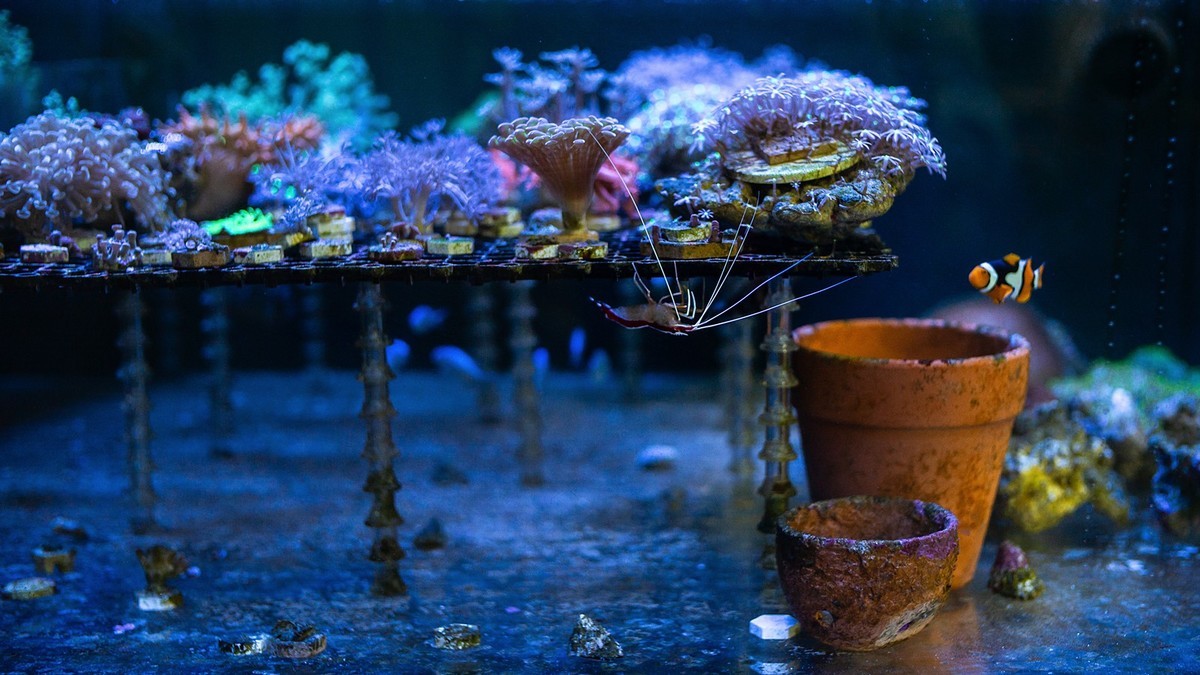 Lecia M240P+35mm/1.2VM ( 试机镜随拍 )