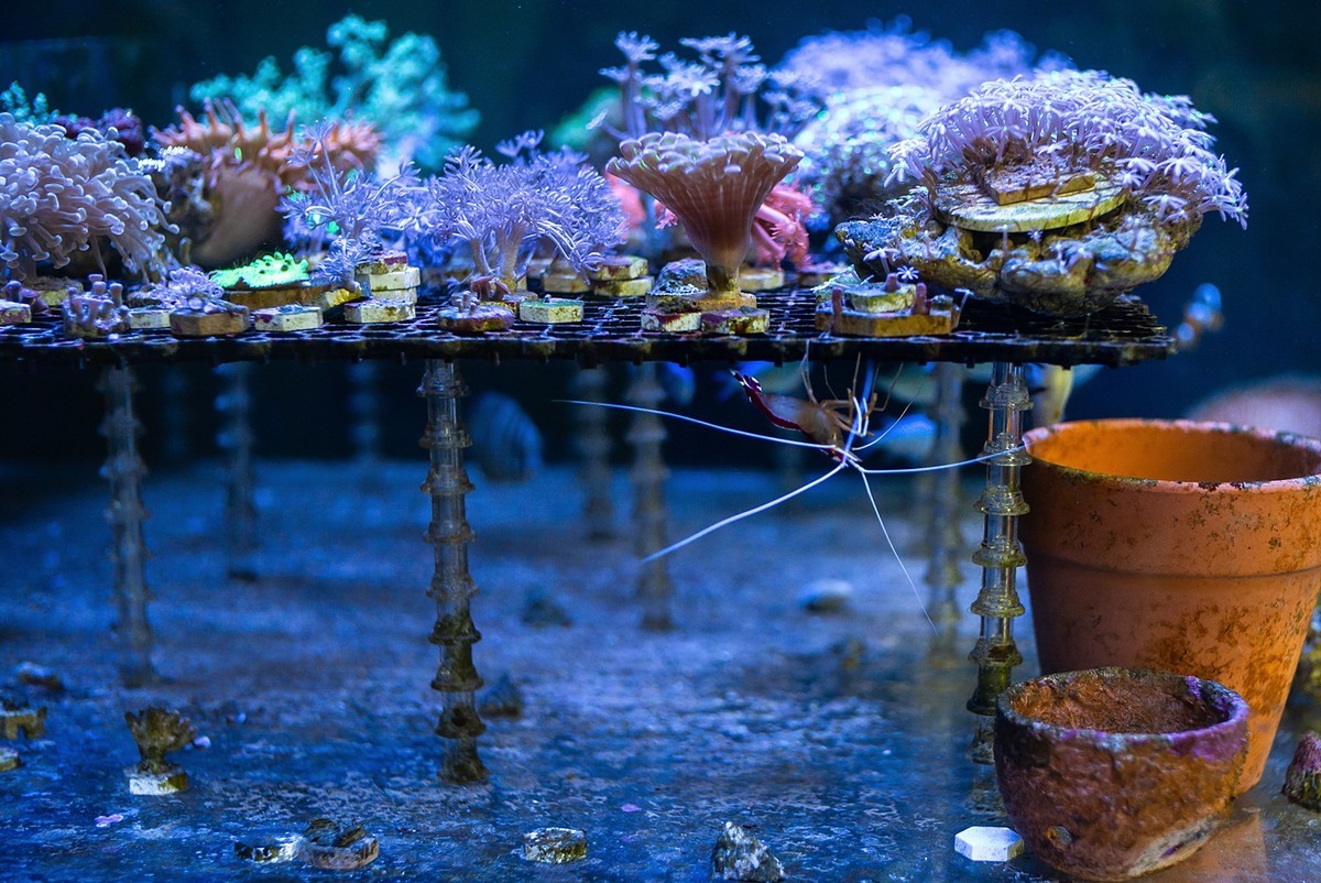 Lecia M240P+35mm/1.2VM ( 试机镜随拍 )