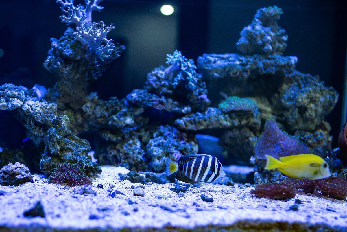 Lecia M240P+35mm/1.2VM ( 试机镜随拍 )