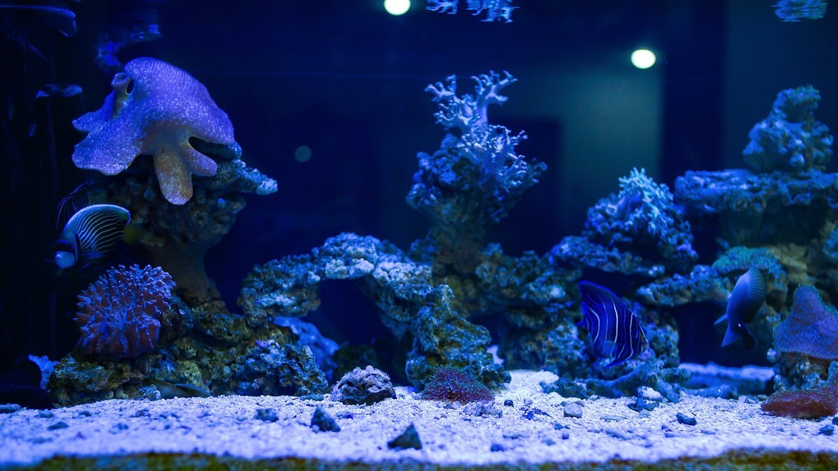 Lecia M240P+35mm/1.2VM ( 试机镜随拍 )