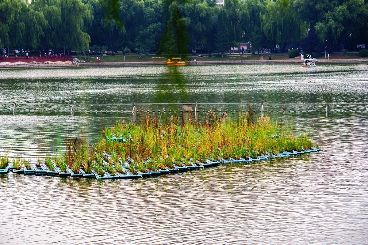 湖边的光影小品