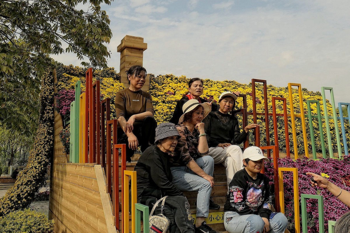 沙湖公园菊花展一