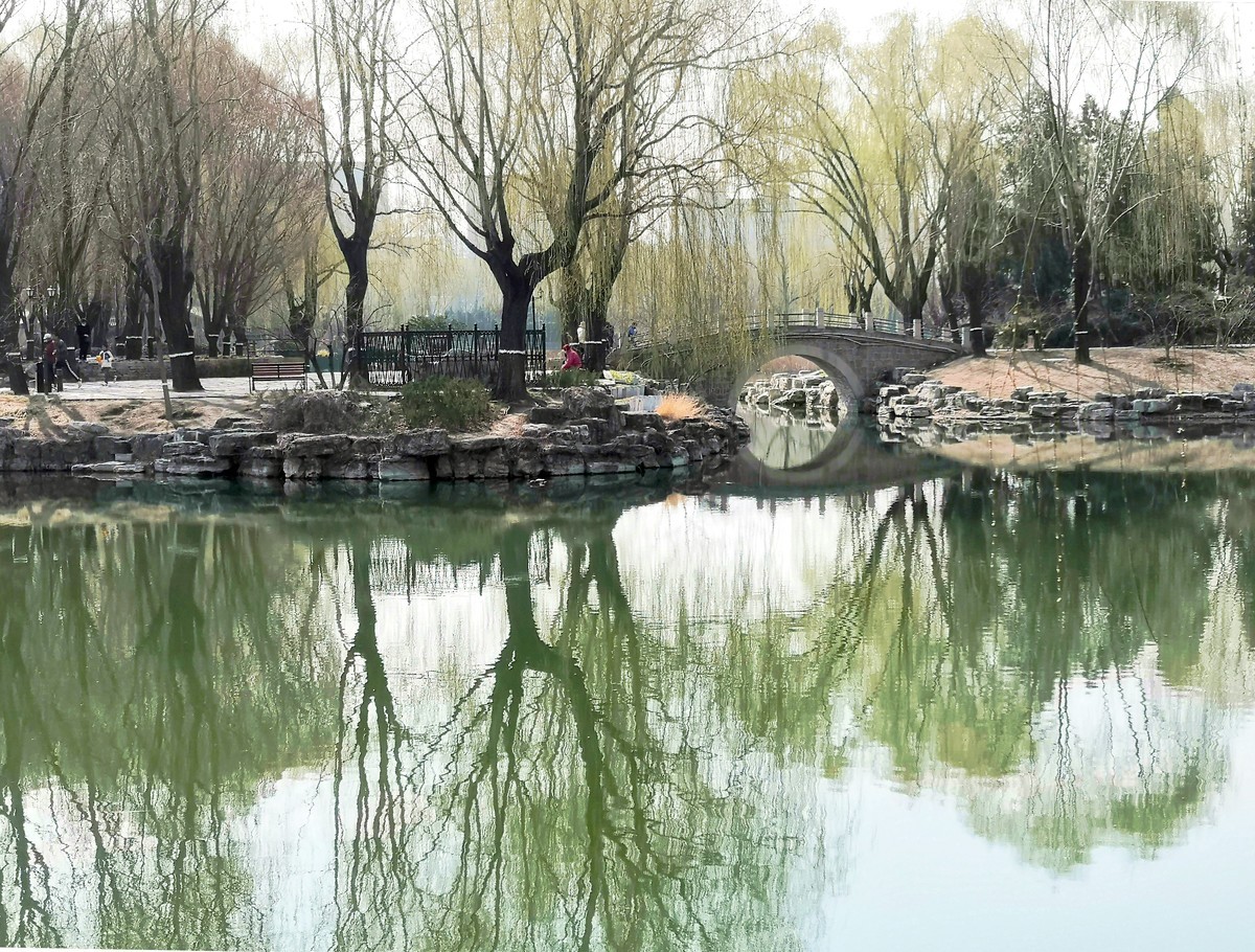 柳荫观柳....柳荫公园踏青随拍