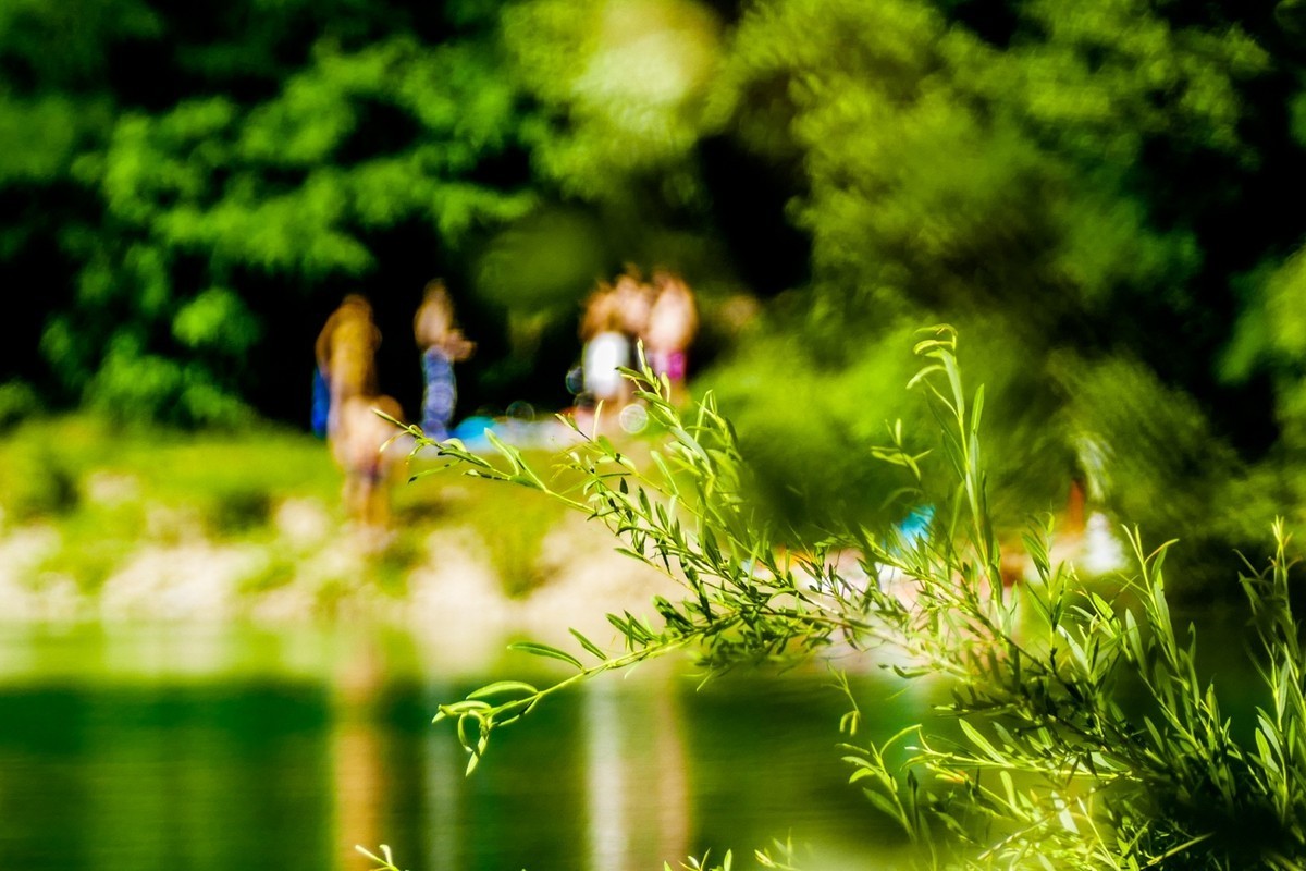 “野湖私泳”--相应“党国”节能号召，节气省油，支持（愚痴）污国！