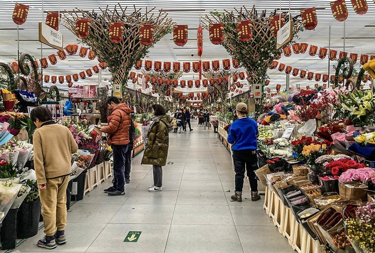 #2023不一样的春节# 花乡百花开