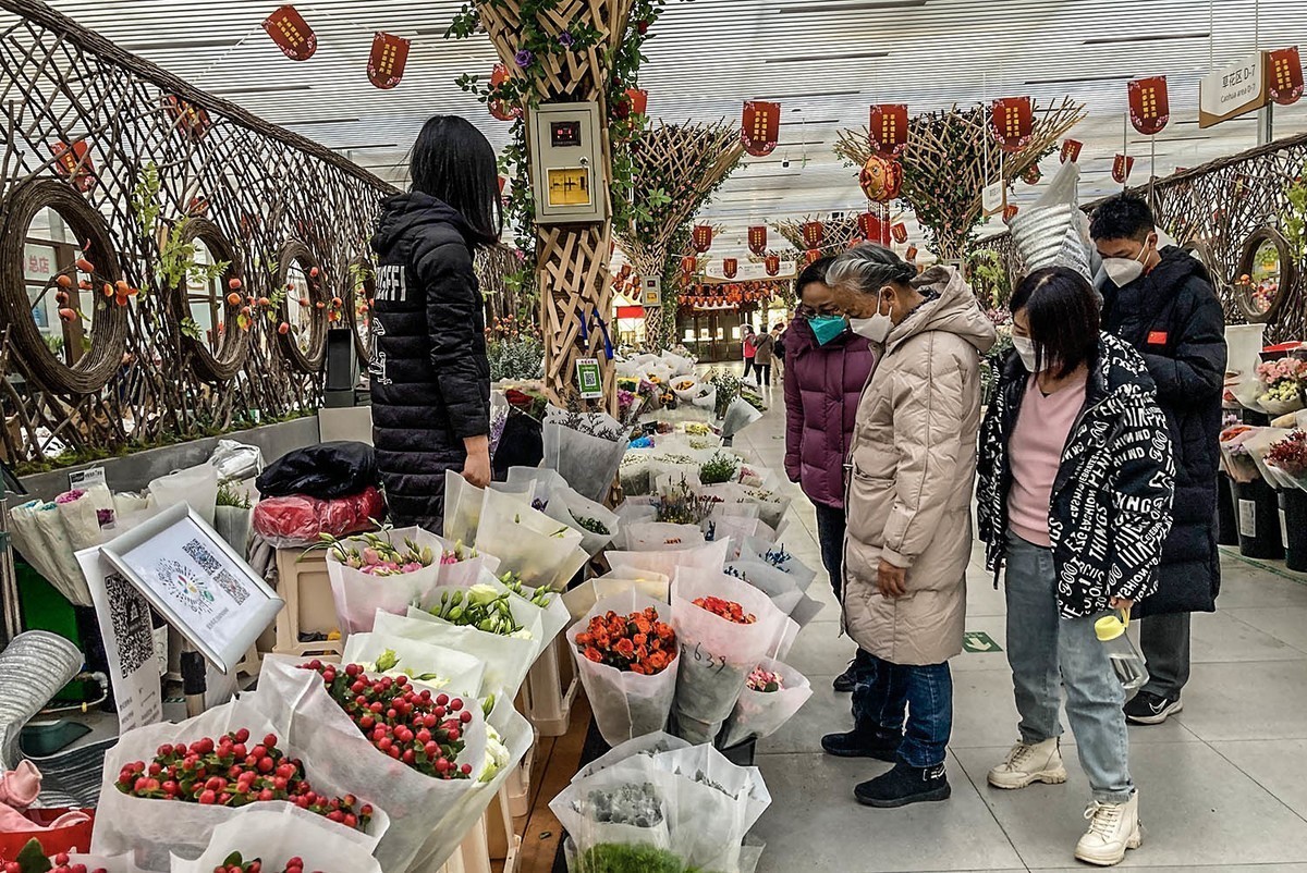 #2023不一样的春节# 花乡百花开