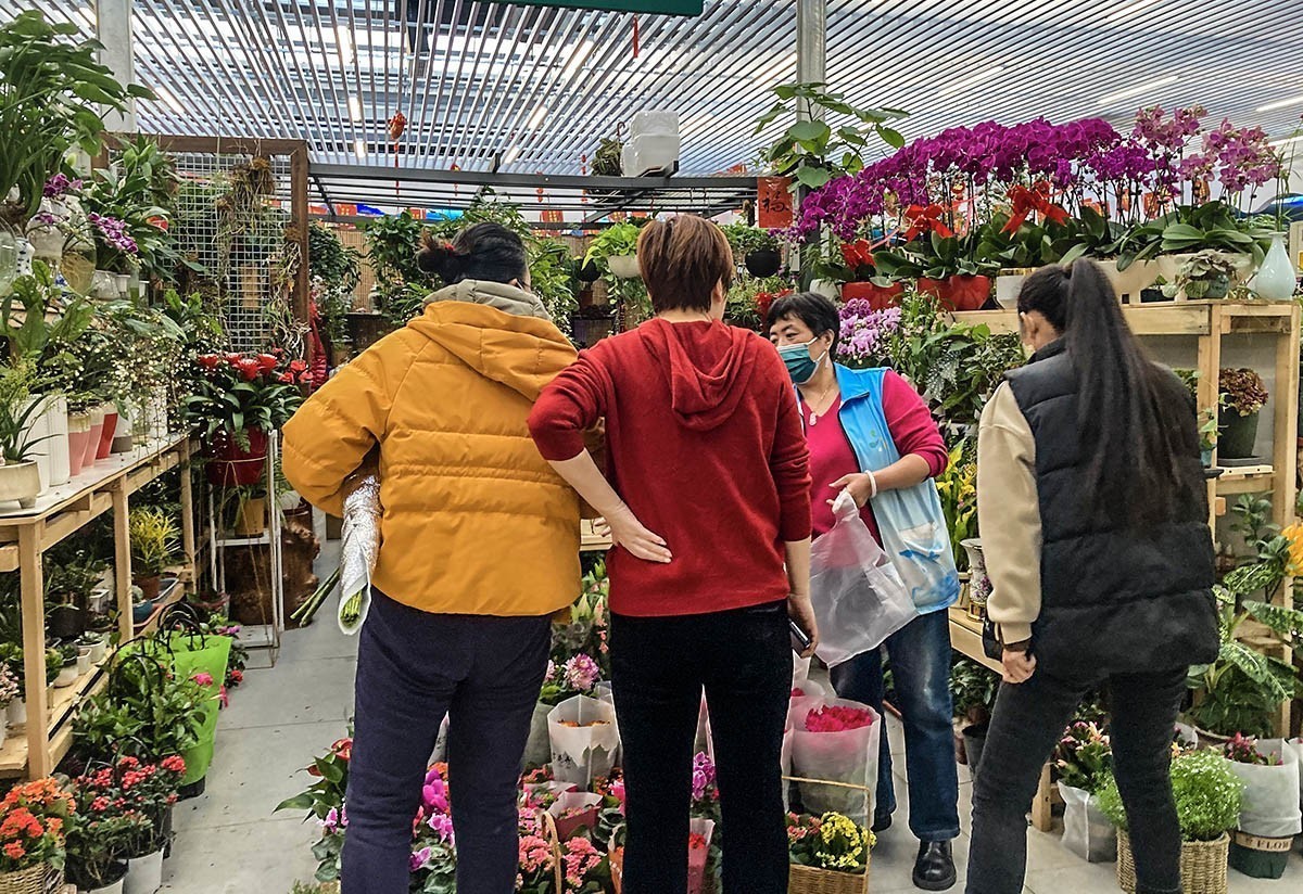 #2023不一样的春节# 花乡百花开