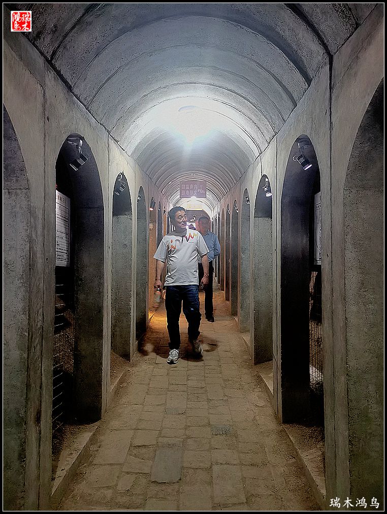 【甘青大环线】4.游历武威雷台汉墓，感受华夏文明气息