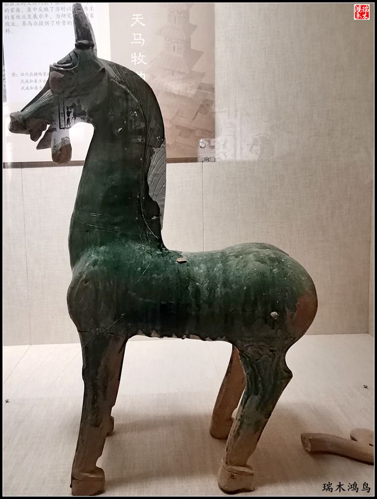 【甘青大环线】4.游历武威雷台汉墓，感受华夏文明气息