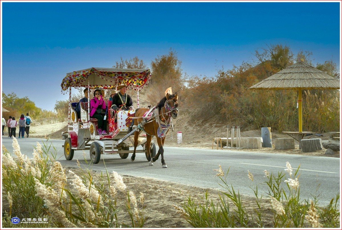 2024-（016）库尔勒罗布人村寨（十一）