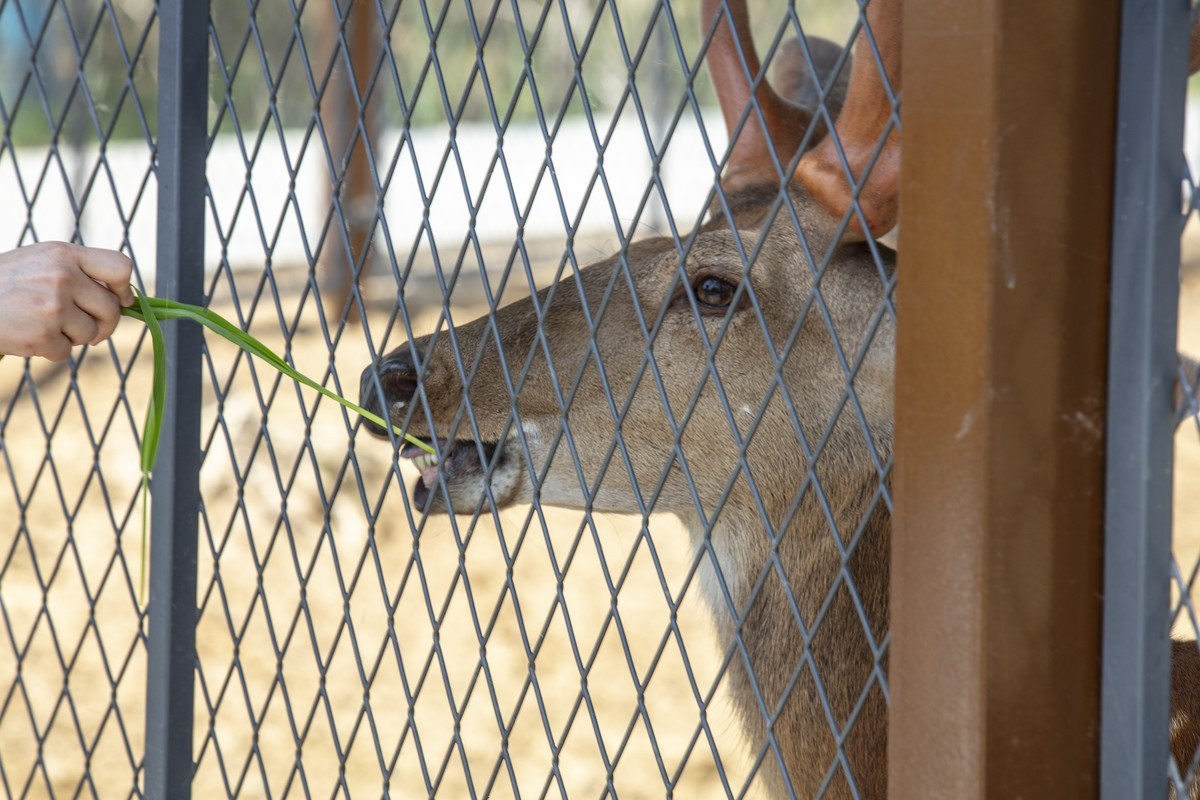 洪泽湖湿地公园4