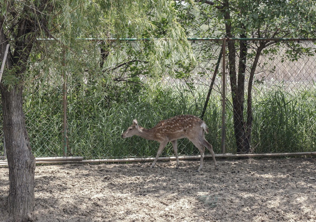 洪泽湖湿地公园4