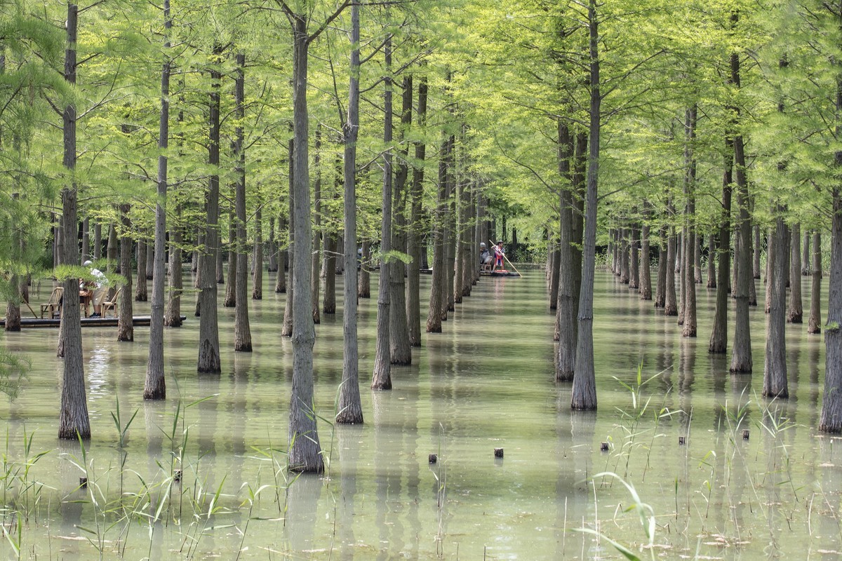 洪泽湖湿地公园4