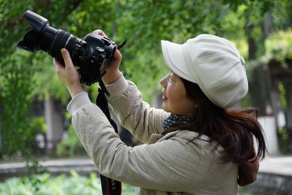 华西坝钟楼前后荷叶一遍綠油油