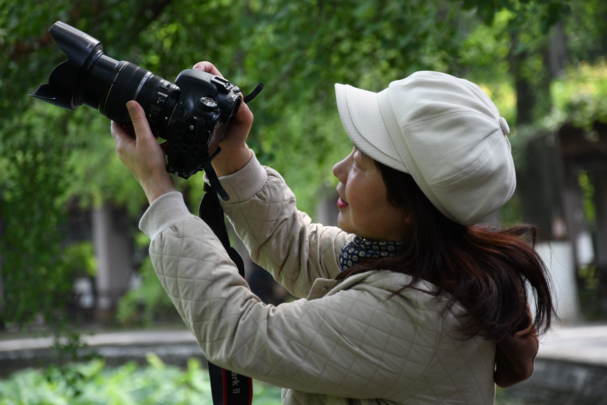 华西坝钟楼前后荷叶一遍綠油油