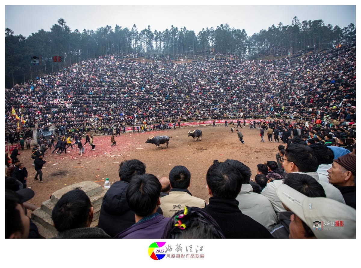 贵州从江民俗春节活动