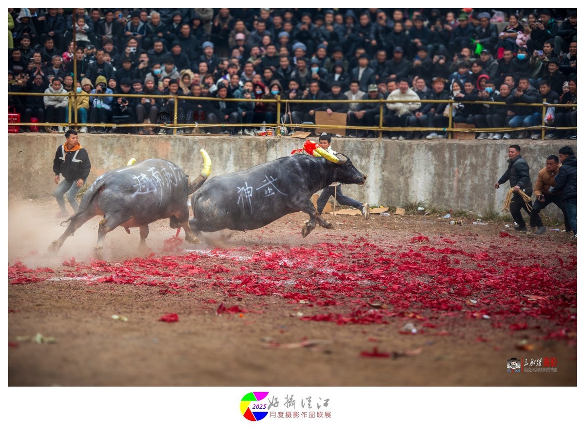 贵州从江民俗春节活动